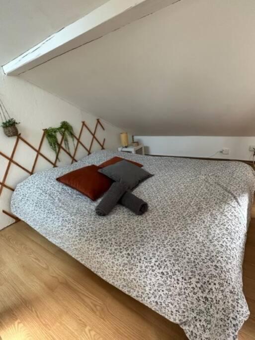 Petit Loft Centre Historique Proche Gare Tgv * Mulhouse