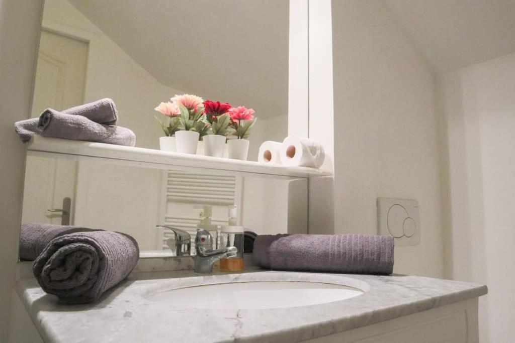 Petit Loft Centre Historique Proche Gare Tgv * Mulhouse