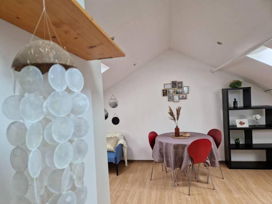 Petit Loft Centre Historique Proche Gare Tgv * Mulhouse